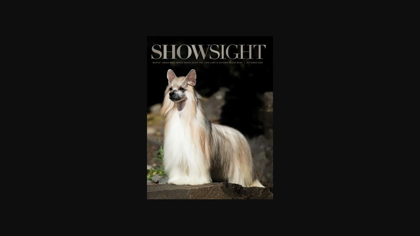 Showsight